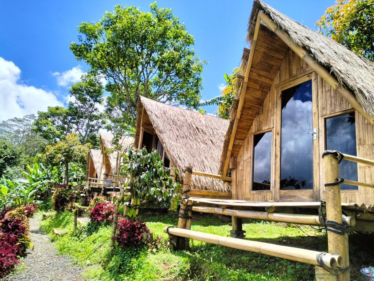 Wanagiri Campsite Gitgit 외부 사진