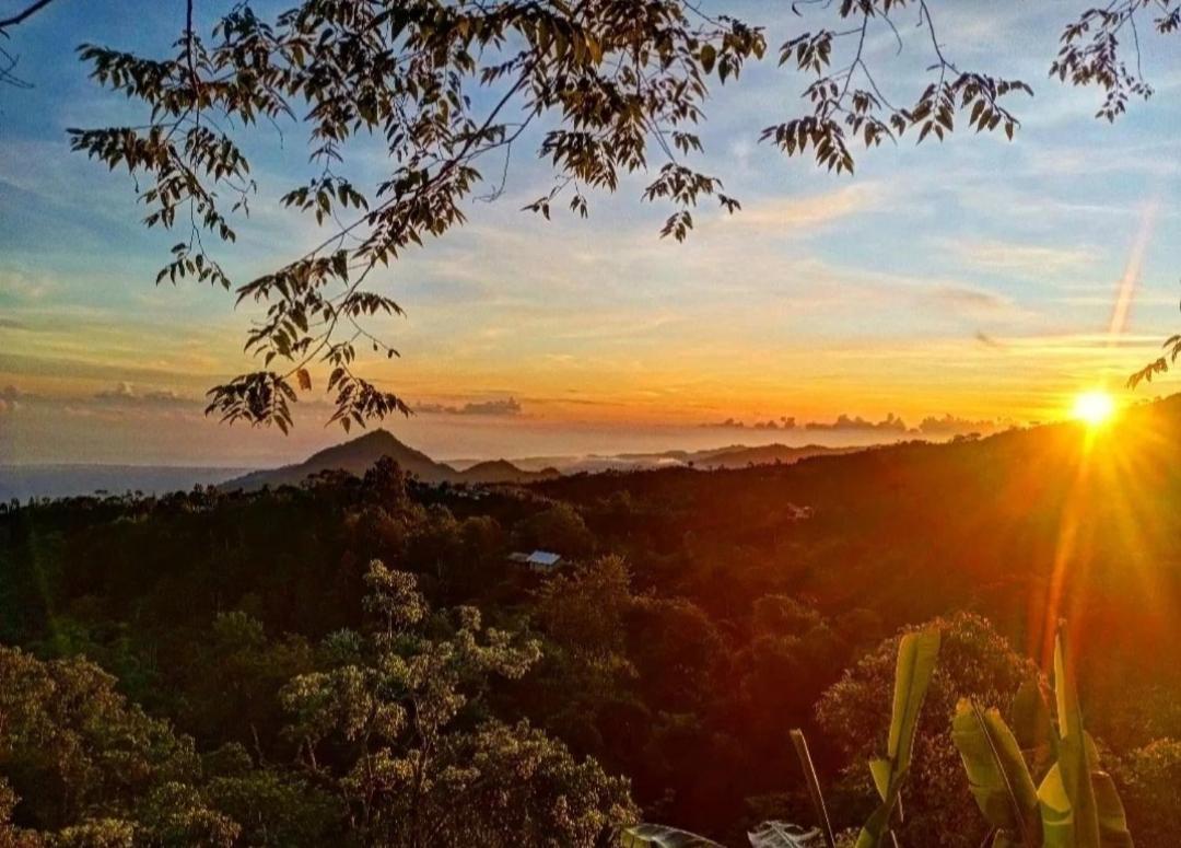 Wanagiri Campsite Gitgit 외부 사진